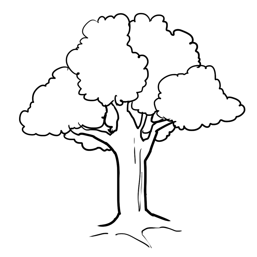 Free printable tree coloring pages for kids