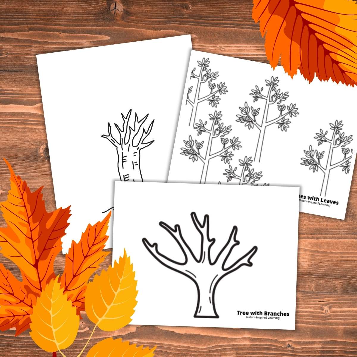 Printable fall tree coloring pages