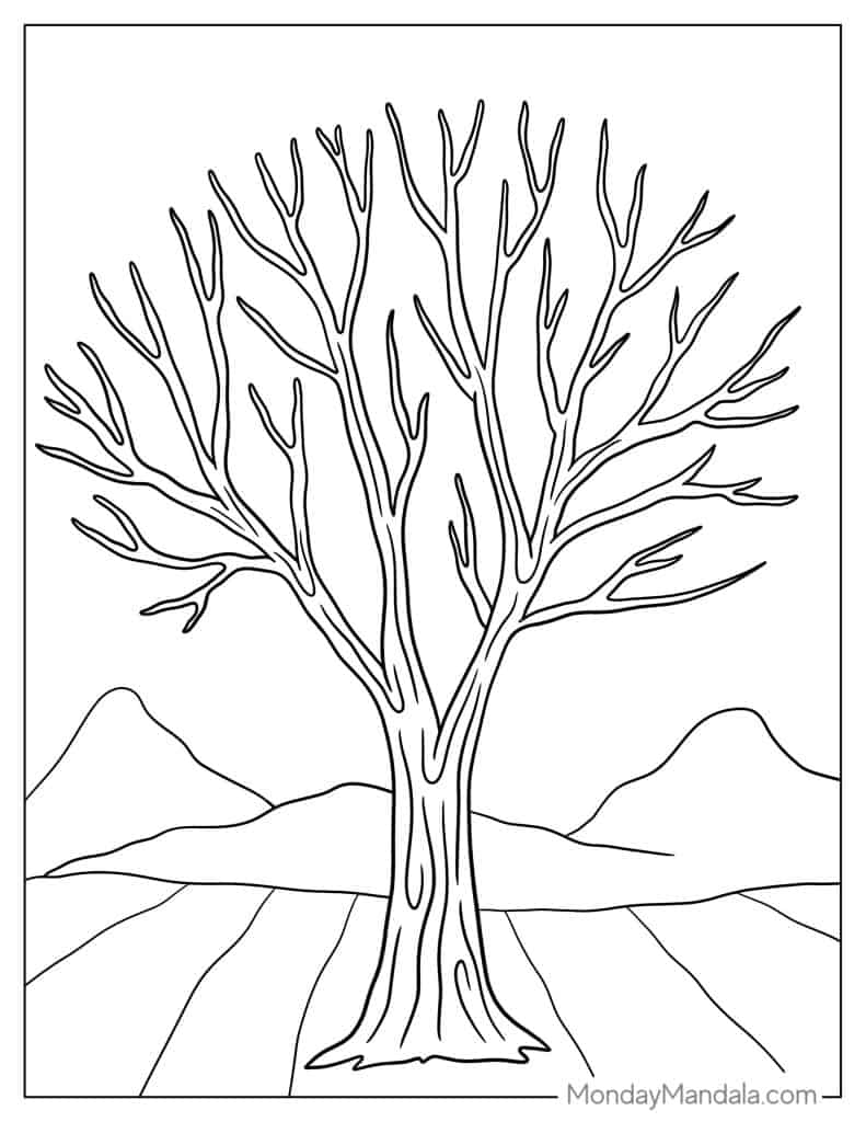 Tree coloring pages free pdf printables