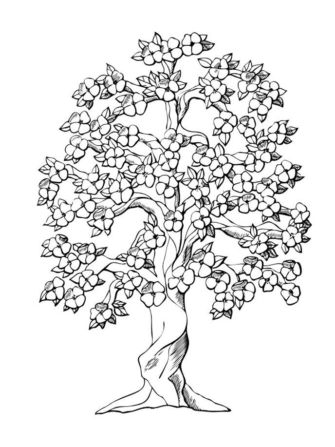 Free printable tree coloring pages for kids flores para colorir arvore para colorir pãginas para colorir para adultos