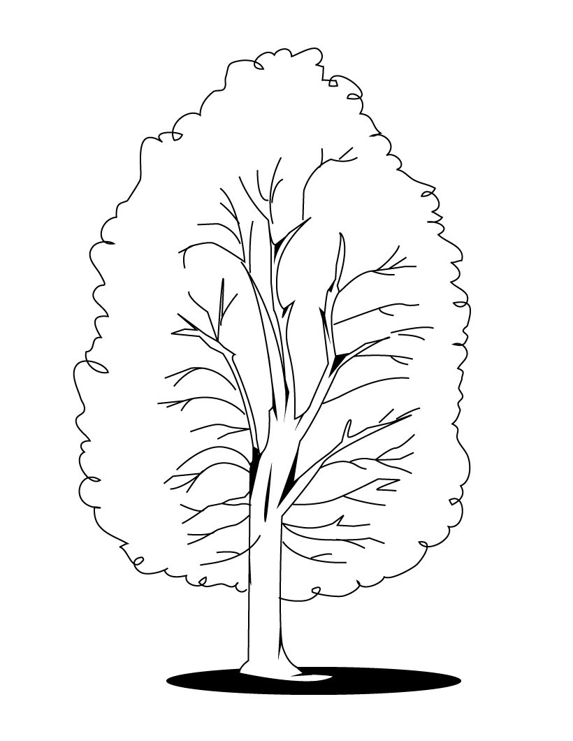 Free printable tree coloring pages for kids