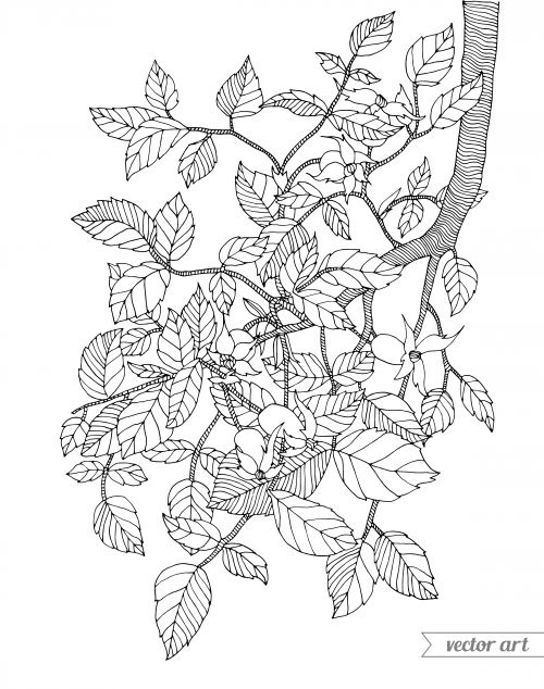 Engage your kids with a fun branch coloring page