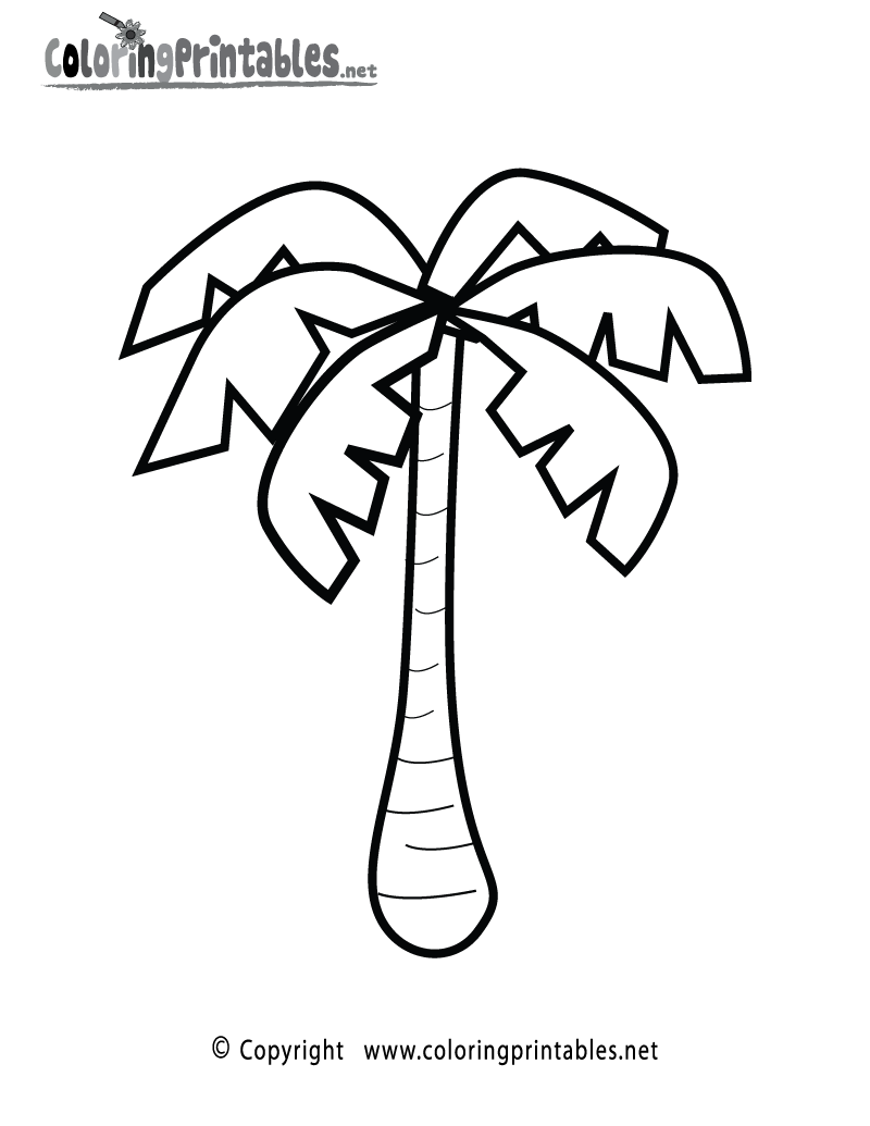 Free printable palm tree coloring page