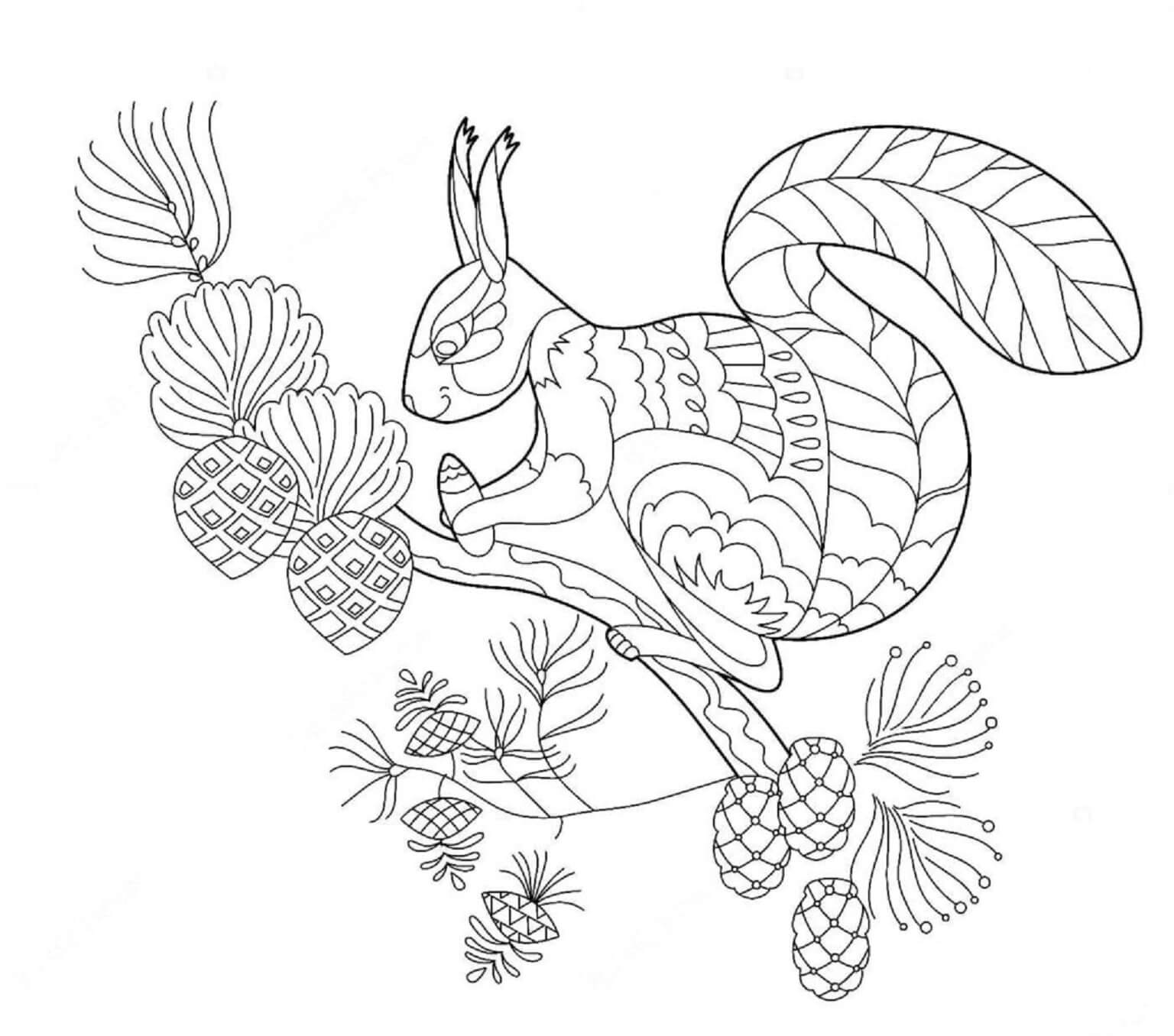 Squirrel on branch tree mandala coloring page