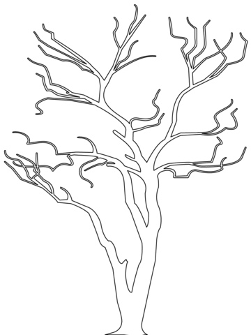 Bare tree outline coloring page free printable coloring pages tree coloring page tree outline coloring pages