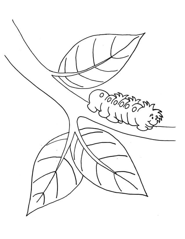 Basic worm on branch tree coloring page