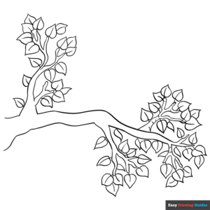 Tree branch coloring page easy drawing guides