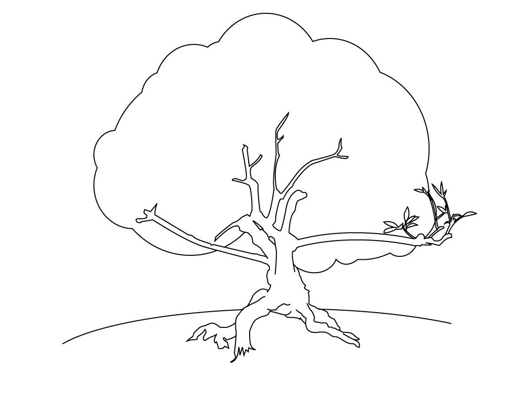 Free printable tree coloring pages for kids