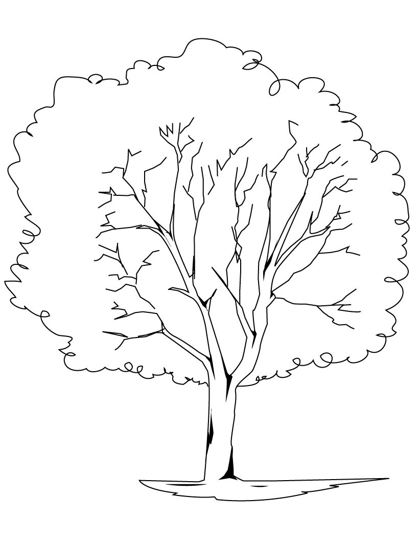 Free printable tree coloring pages for kids