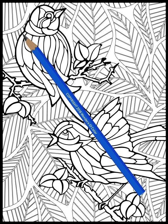 Printable adult coloring page birds on tree branches stress management art therapy instant digital download wonders of color