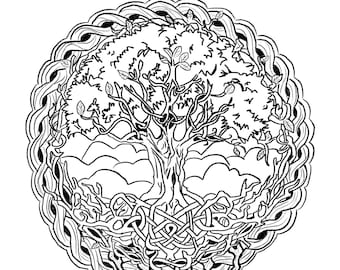 Adult coloring page tree of life celtic design