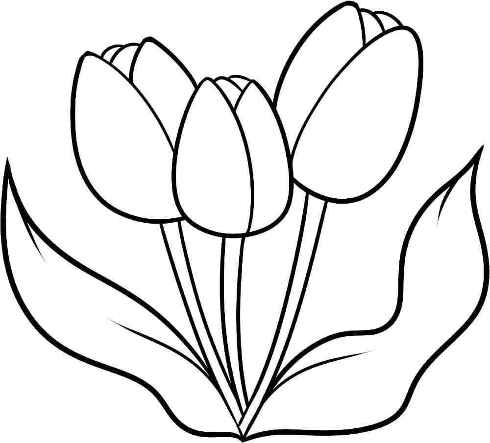 Easy tulips coloring page