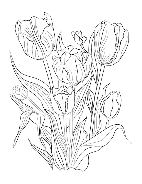 Premium vector tulip coloring page tulip line art illustration