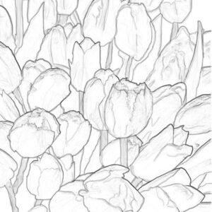 Tulip coloring pages printable for free download