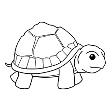 Top free printable turtle coloring pages online