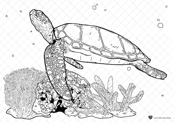 Sea turtle colouring page printable coloring page for adults children instant download turtle coloring page sea turtle coloring sheet download now