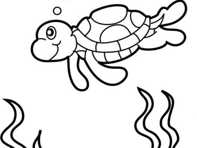 Free easy to print turtle coloring pages