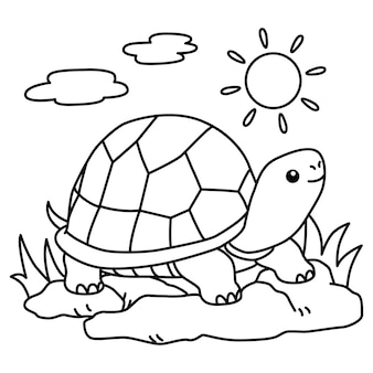 Printable turtle coloring book images