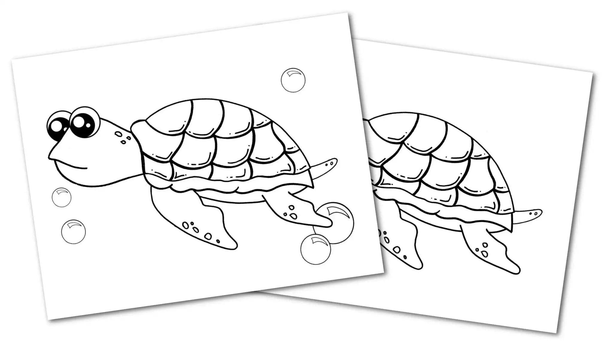 Free printable turtle coloring page â simple mom project