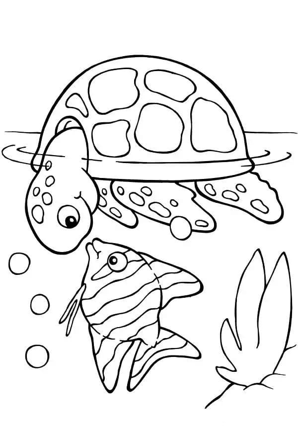 Turtle and fish coloring page