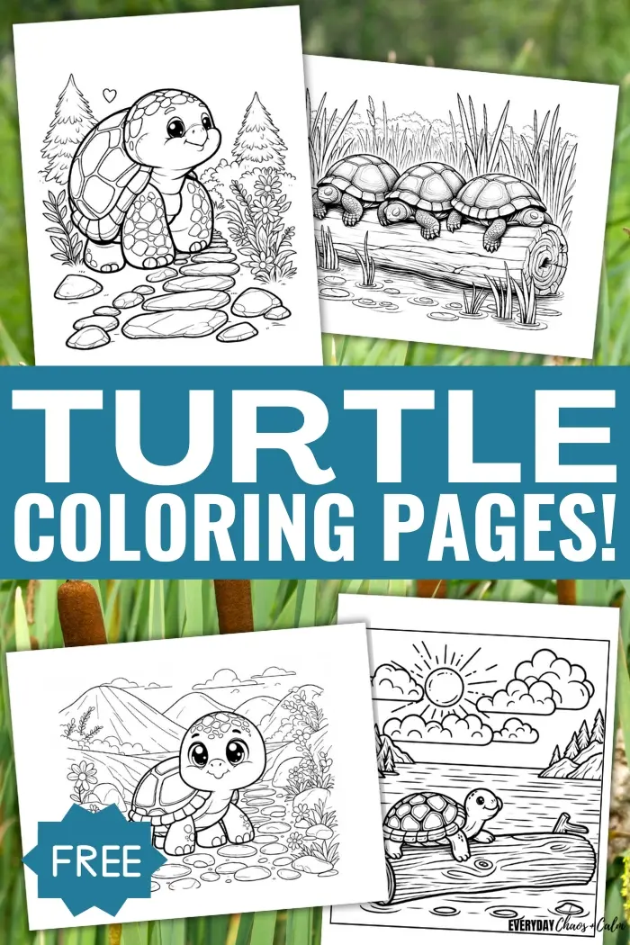 Free printable turtle coloring pages