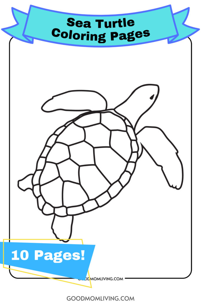 Sea turtle coloring pages free printable turtles