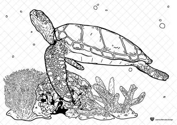 Sea turtle colouring page printable coloring page for adults children instant download turtle coloring page sea turtle coloring sheet download now