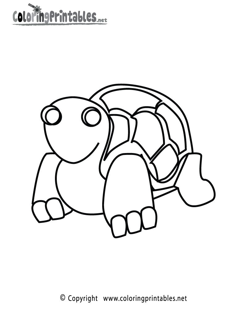 Turtle coloring page