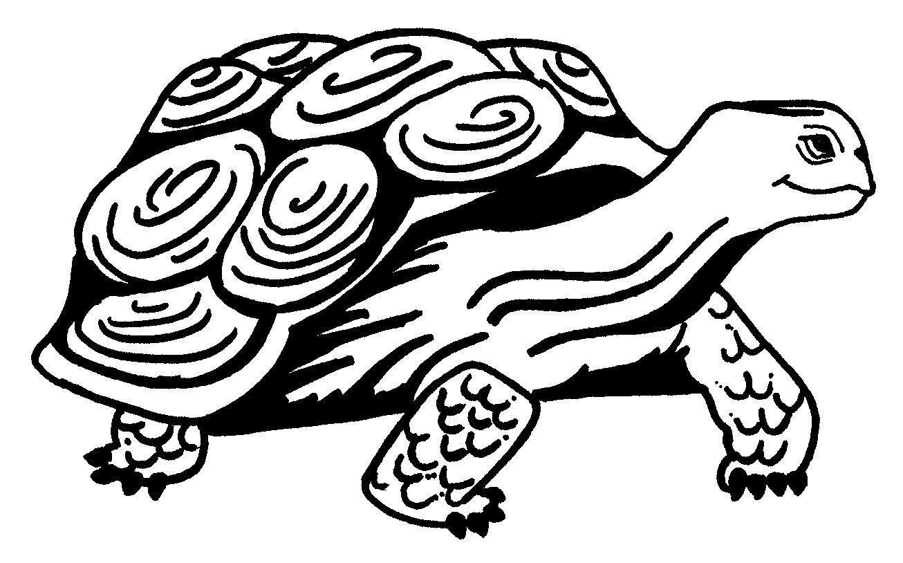 Free printable turtle coloring pages for kids turtle coloring pages bird coloring pages animal coloring pages