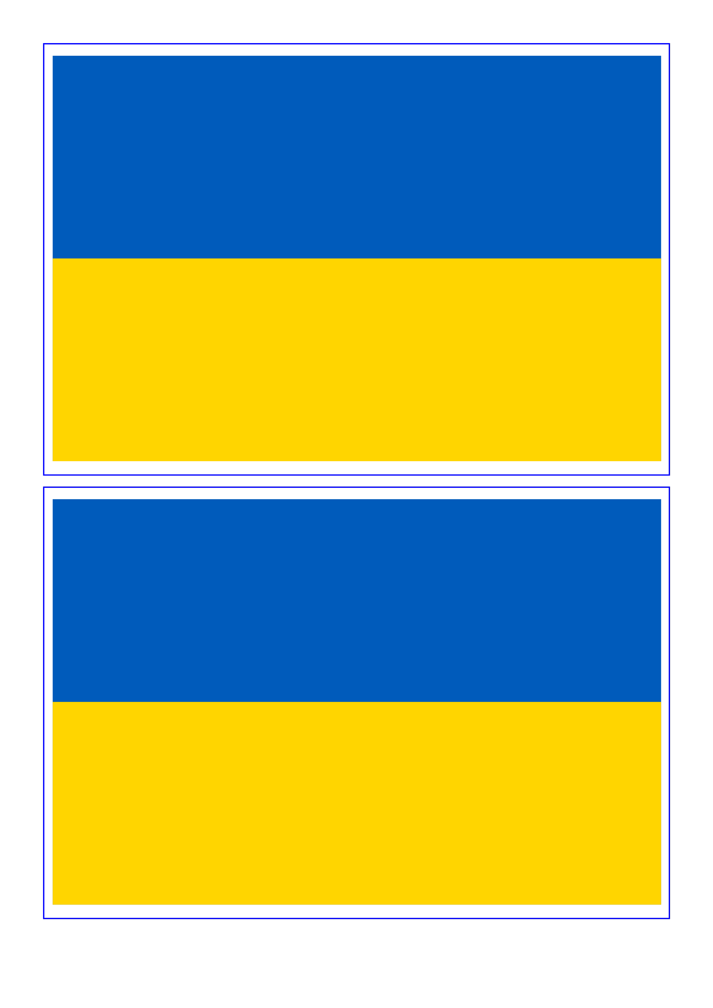 Ukraine flag