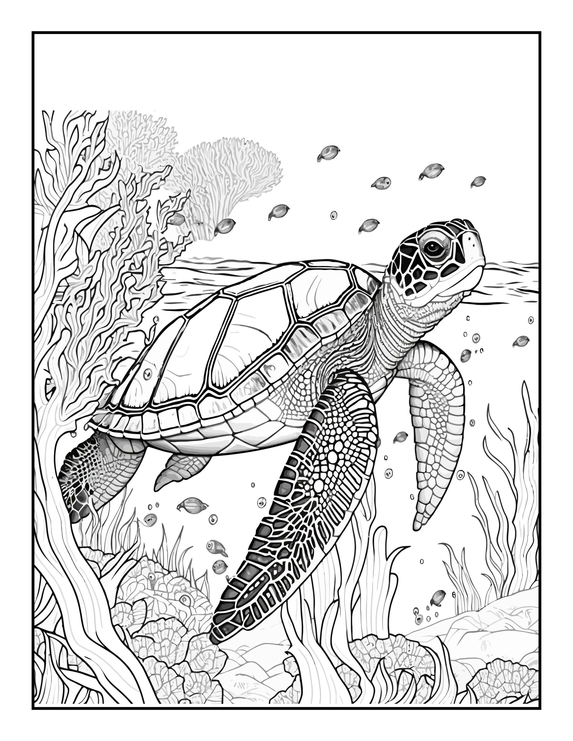 Dive into creativity with our sea coloring pages made by teachers