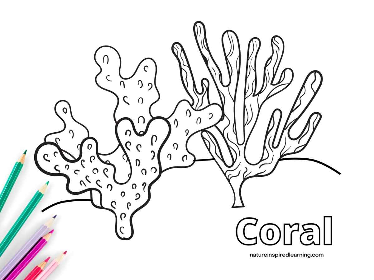 Coral reef coloring pages for kids