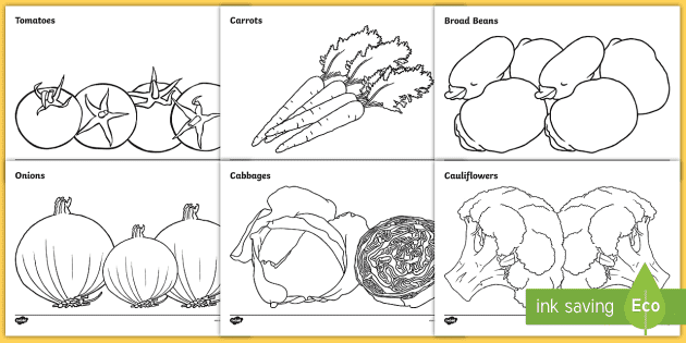 Free printable vegetable louring pages resources