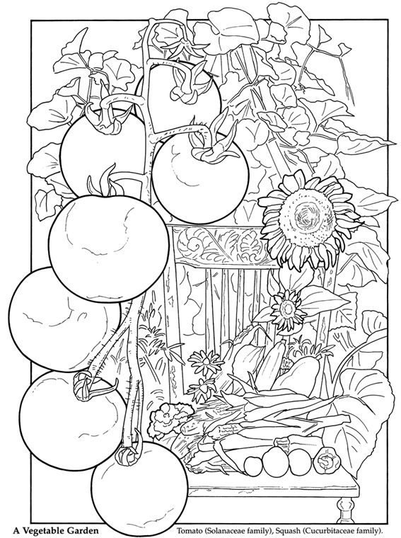 Wele to dover publications garden coloring pages adult coloring pages coloring books