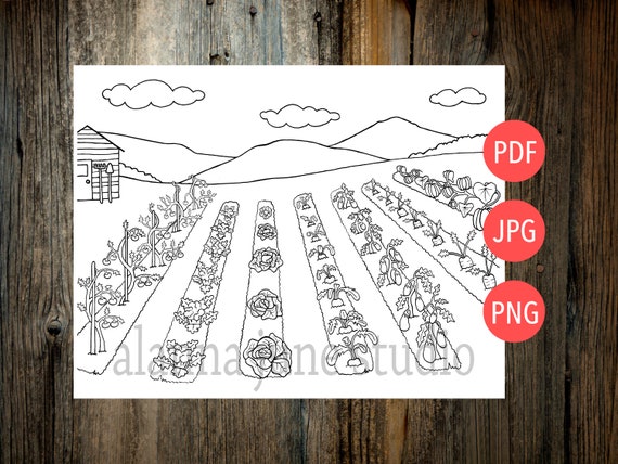 Vegetable garden coloring page