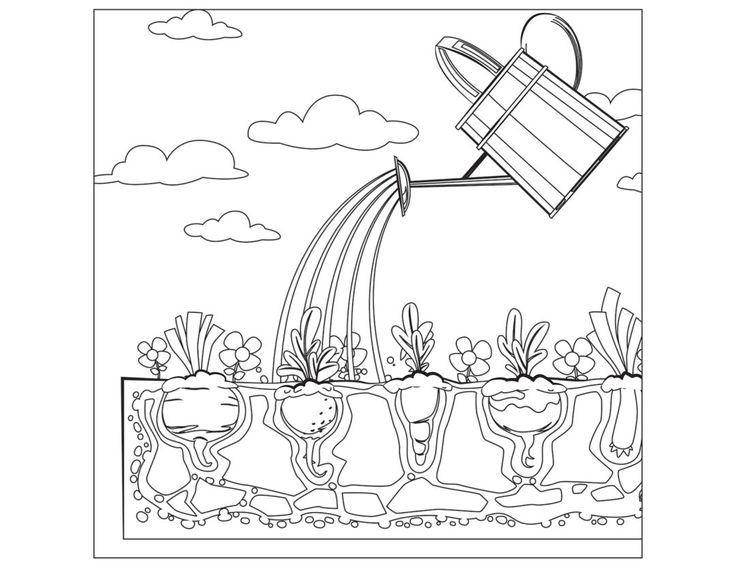 Printable coloring pages garden coloring pages coloring pages vegetable garden