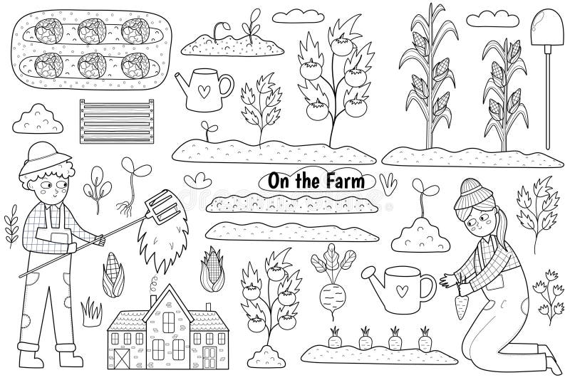 Vegetable garden coloring page stock illustrations â vegetable garden coloring page stock illustrations vectors clipart