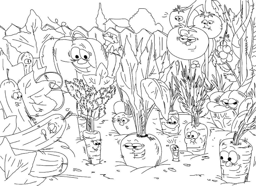 Online coloring pages coloring page the garden and vegetables the garden download print coloring page