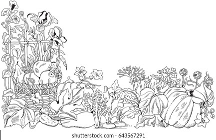 Fruit basket coloring page stock photos