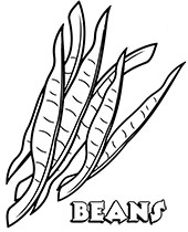 Printable vegetable coloring pages