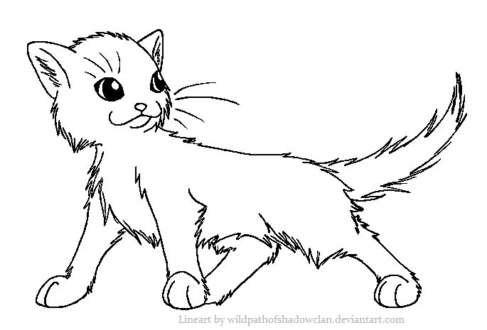 Long haired warrior warrior cat drawings warrior cat cat coloring page