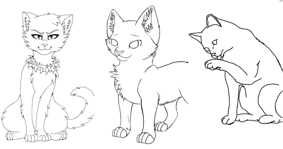 Free warrior cat coloring pages for kids and adults