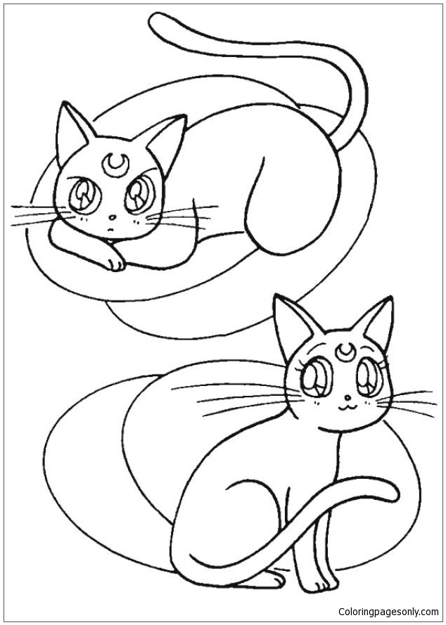 Warrior cats coloring page