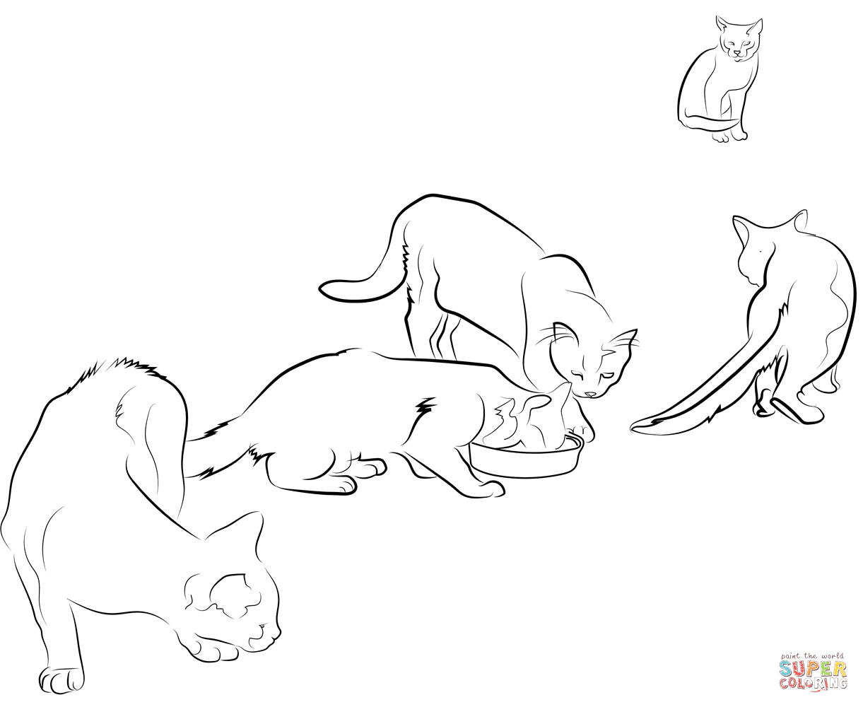 Cats coloring page free printable coloring pages