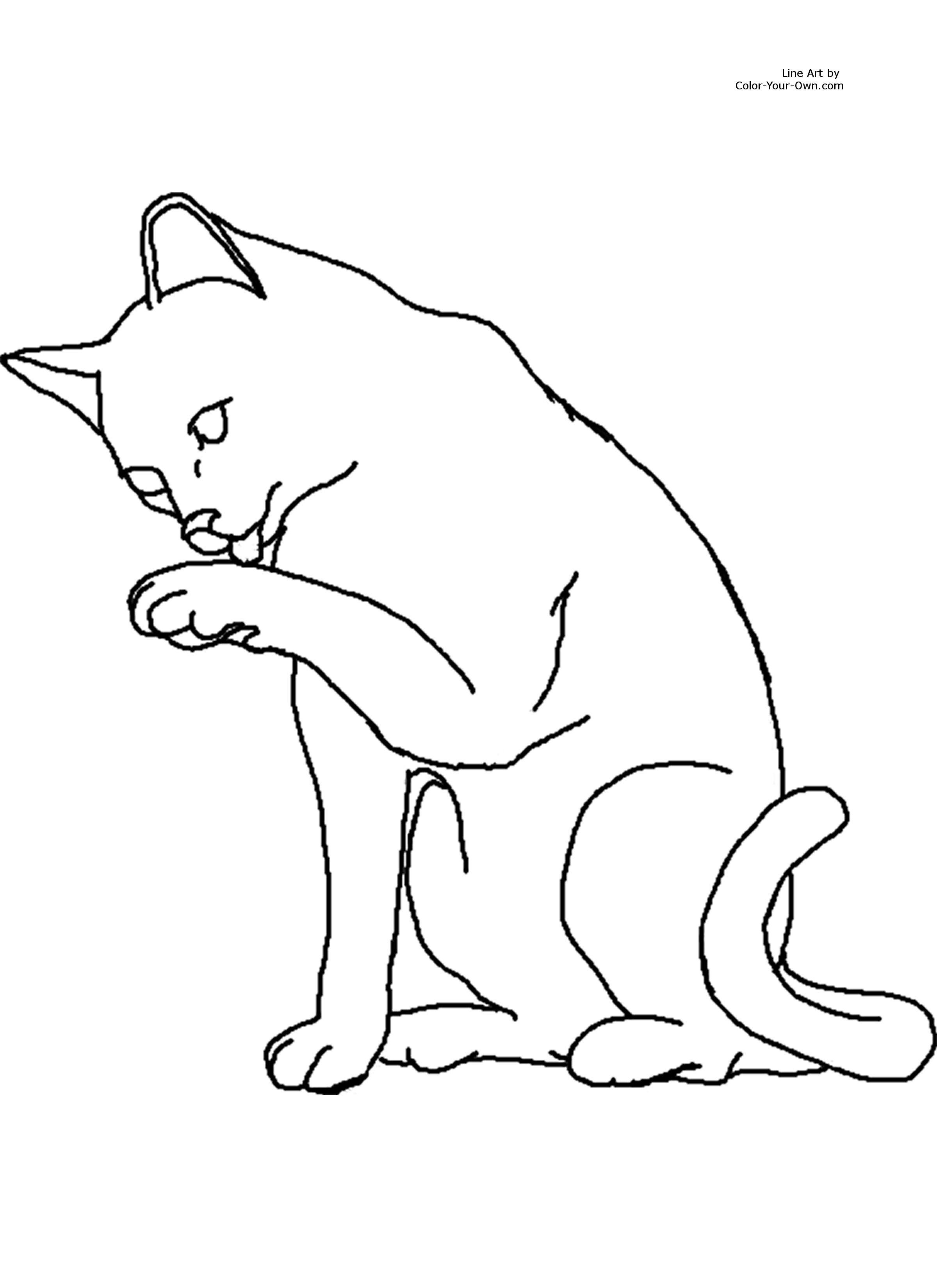 Cat coloring page