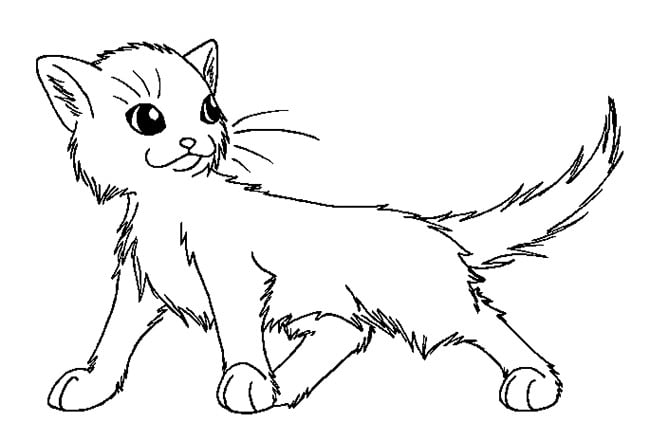 Cat shape s crafts and colouring pages