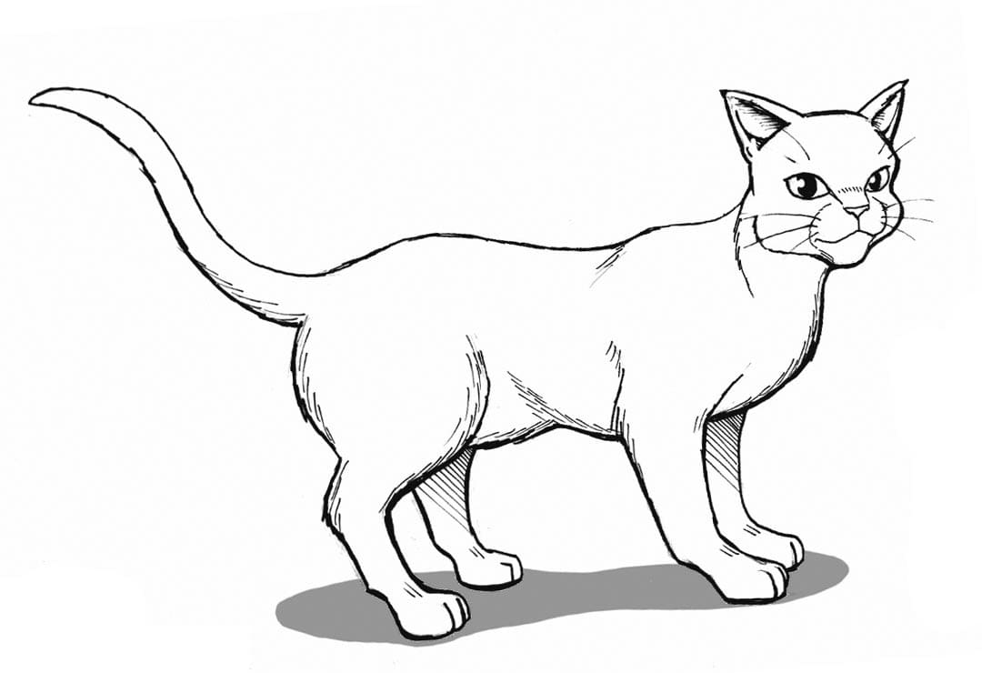 Warriors cats coloring pages pictures free printable