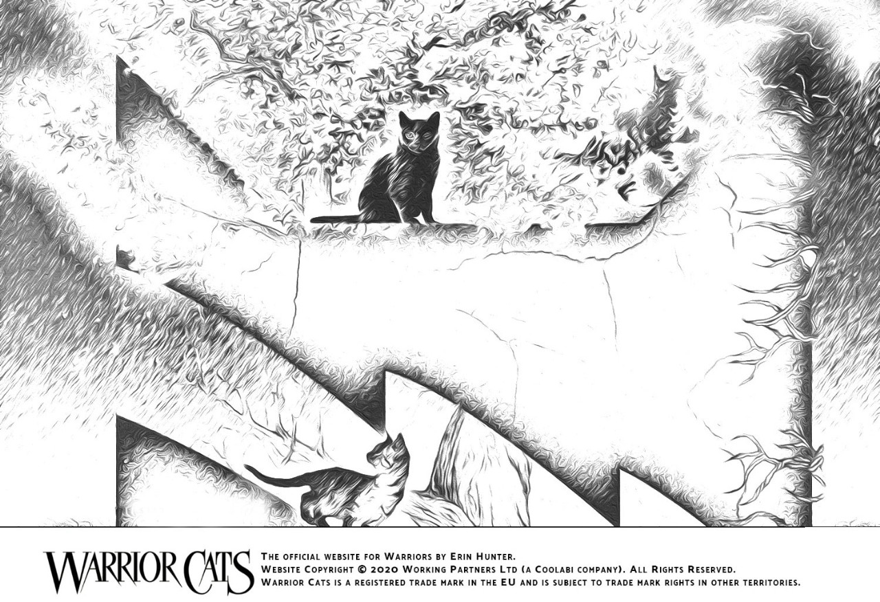 New warrior cats coloring activity sheet warrior cats