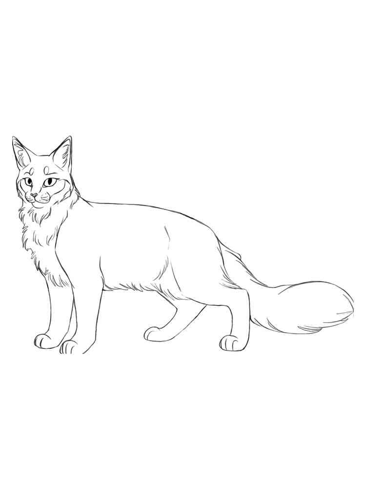 Warrior cats coloring pages