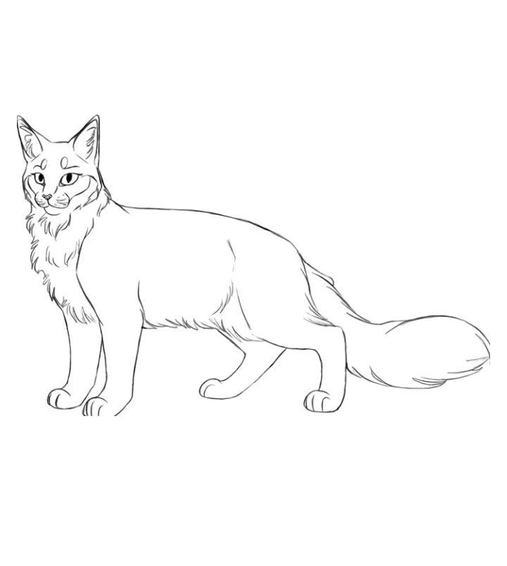 Free warrior cat coloring pages for kids and adults